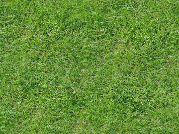 Real Texture Grass Slope Green Space Texture texture (ID:ffaeh785682)