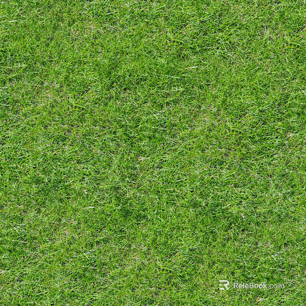 Real Texture Grass Slope Green Space Texture texture