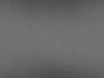 Gray microcement for walls and floors 3d model