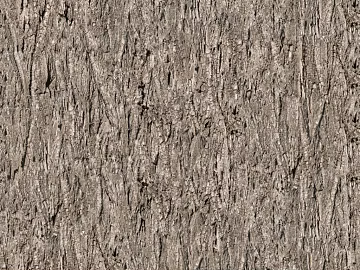 bark texture (ID:ffabg96126)