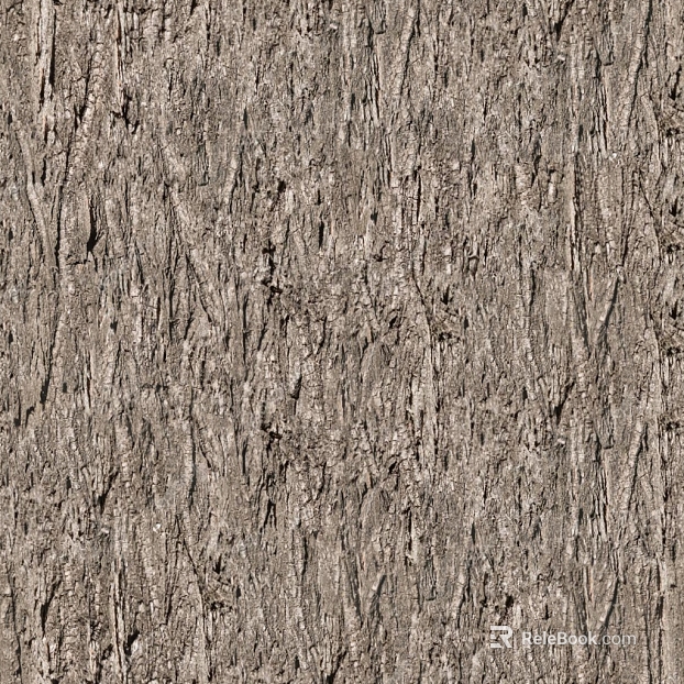 bark texture
