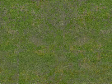 Turf texture (ID:ffajg87223)