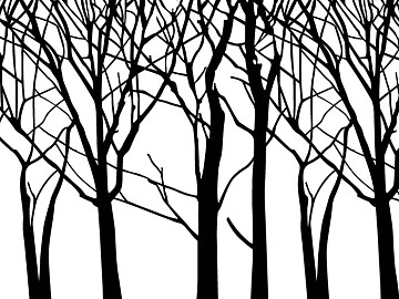 black and white tree shadow texture (ID:ffagg76427)