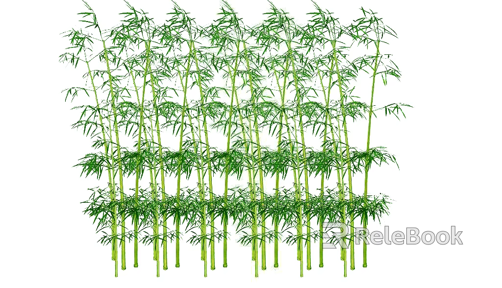 Bamboo texture