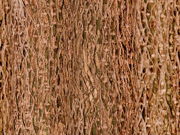 bark 3d model