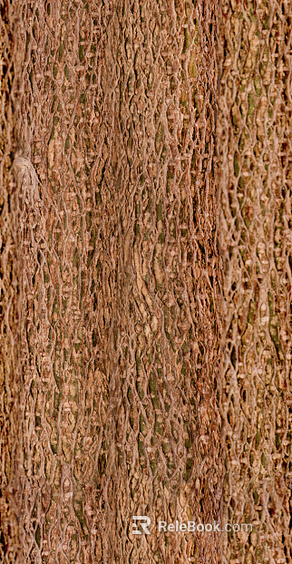 bark texture
