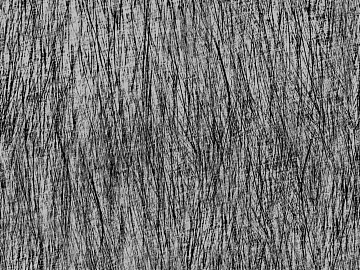 Black and White Bump texture (ID:ffaff7212)