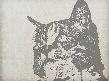 Cloth texture (ID:ffabg94170)