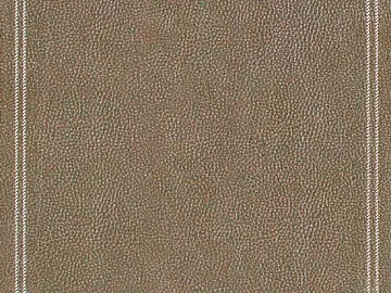 fine grain leather texture (ID:ffabg06764)