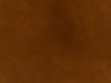 fine grain leather texture (ID:ffach161365)
