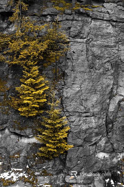 Rock wall texture