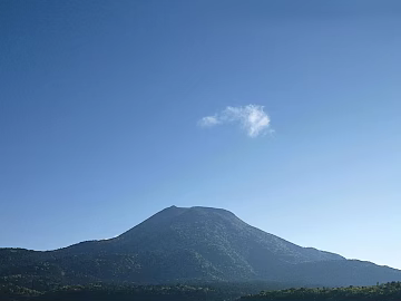 Wild Scenery texture (ID:ffagf9734)