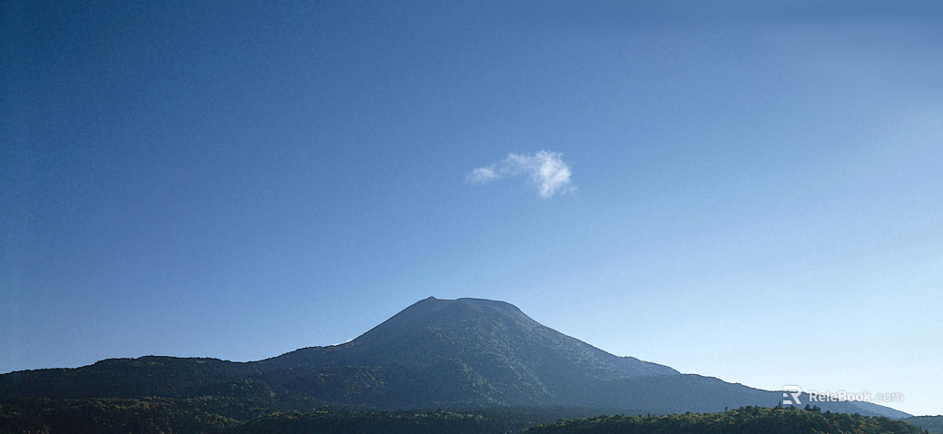 Wild Scenery texture