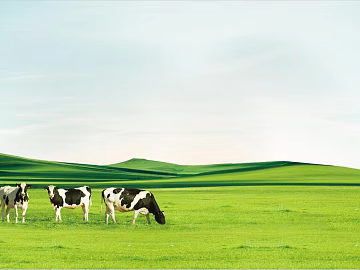 Grassland texture (ID:ffaeg60796)