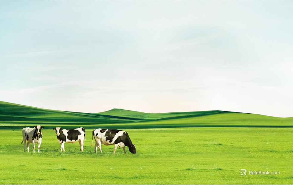 Grassland texture