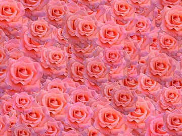 Flowers texture (ID:ffaag88497)