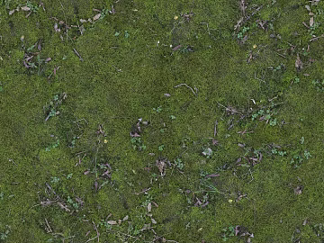 Turf texture (ID:ffaef0179)