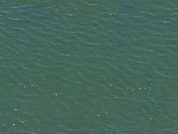 Water pattern texture (ID:ffach628434)