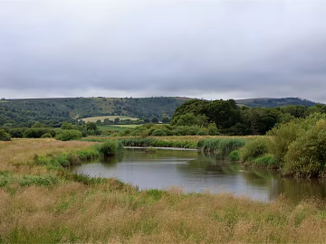 wild landscape wetland texture (ID:ffach082274)