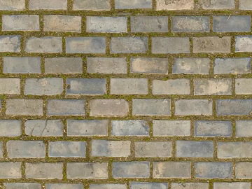 Brick pavement texture (ID:ffaaf3483)