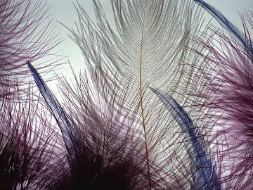 Pattern Wallpaper texture (ID:ffajf7320)