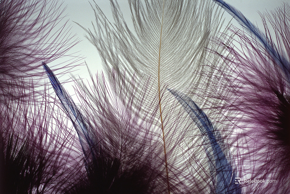 Pattern Wallpaper texture