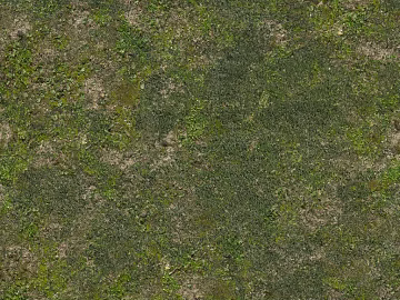 Turf 3d model