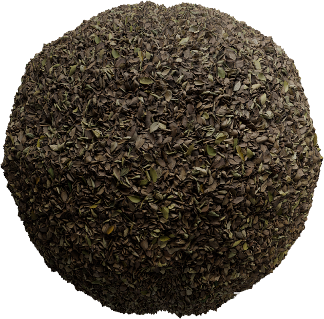 deciduous ground texture