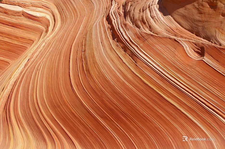 Gobi Desert texture