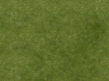 Turf texture (ID:ffaag38267)