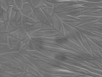 Black and White Bump texture (ID:ffacg07454)