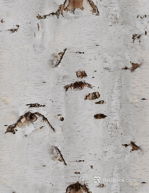bark texture
