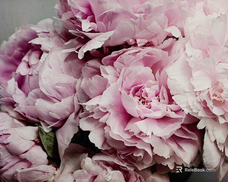 Flowers texture
