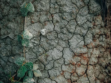 Mud 3d model