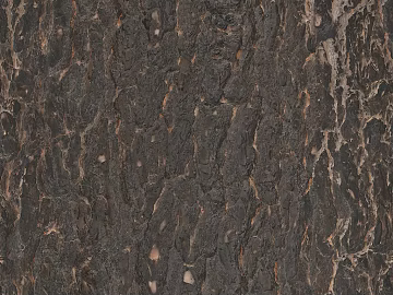 Dark gray tree bark wall decor texture (ID:ffaeh254732)