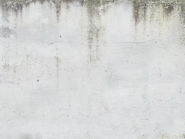 Cement white exterior wall texture (ID:ffabg03808)