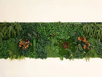 Plants texture (ID:ffhde155)