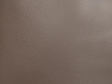 fine grain leather 3d model