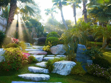 Courtyard texture (ID:ffaeg32905)