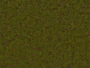 Turf texture (ID:ffabg01857)