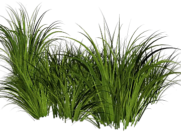 Plants texture (ID:ffacg57804)