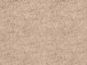Plain pattern carpet 3d model