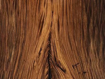 bark texture (ID:ffaeg71692)