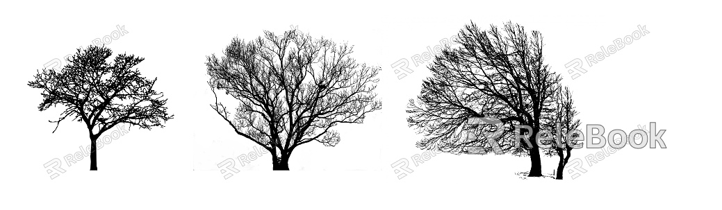 black and white tree shadow texture