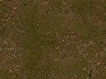 Ground texture (ID:ffaeg20275)