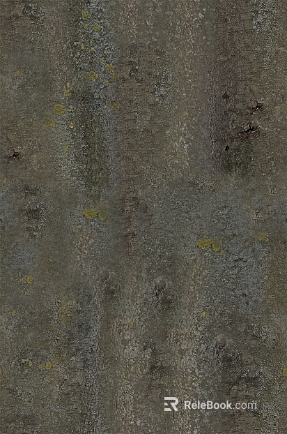 bark texture