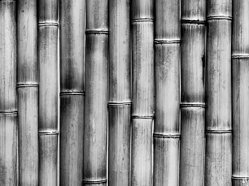 Bamboo texture (ID:ffach712790)