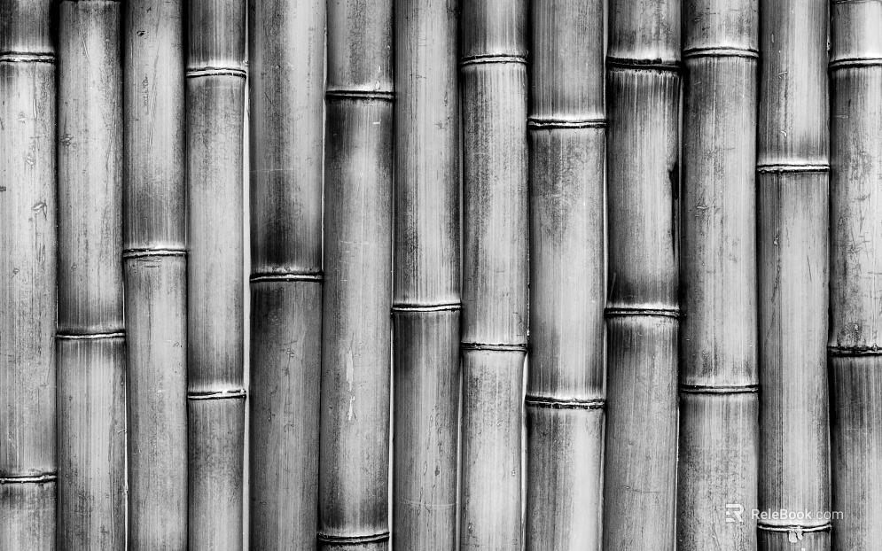 Bamboo texture