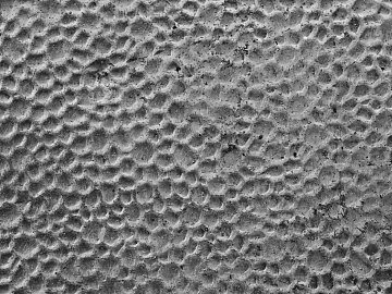 Black and White Bump texture (ID:ffabg99331)