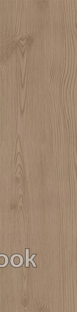 Wood grain North American white oak texture